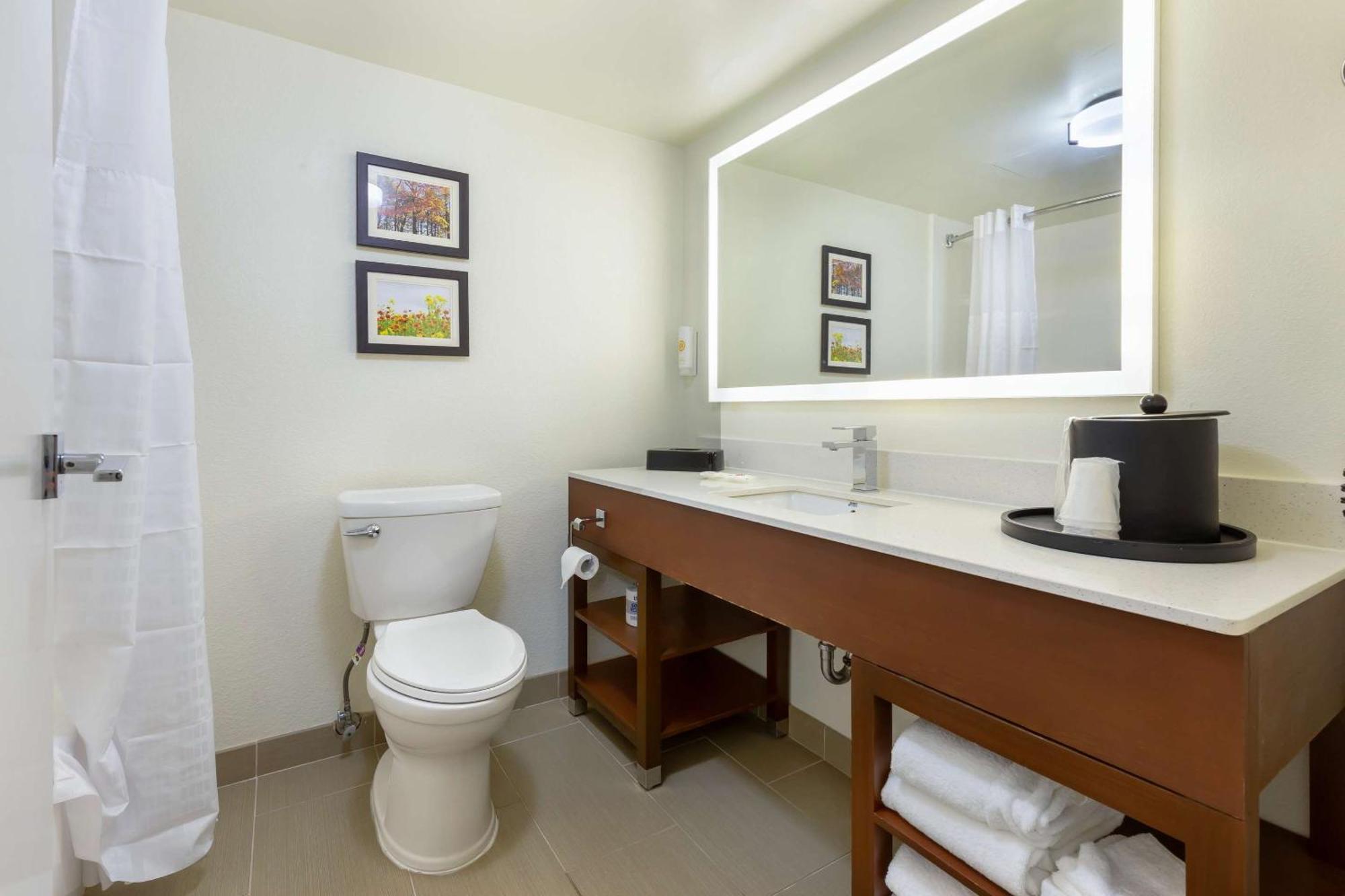 คอมฟอร์ต สวีท เฮนส์ มอลล์ Hotel วินสตัน-ซาเลม ภายนอก รูปภาพ